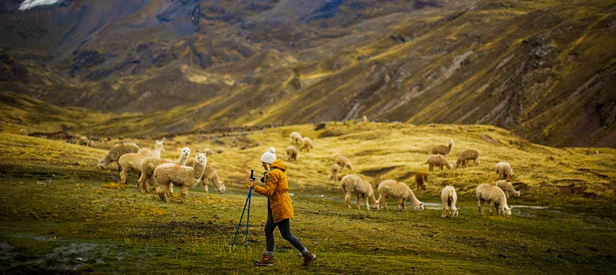 4 películas nacionales mostrando las mejores locaciones del Perú