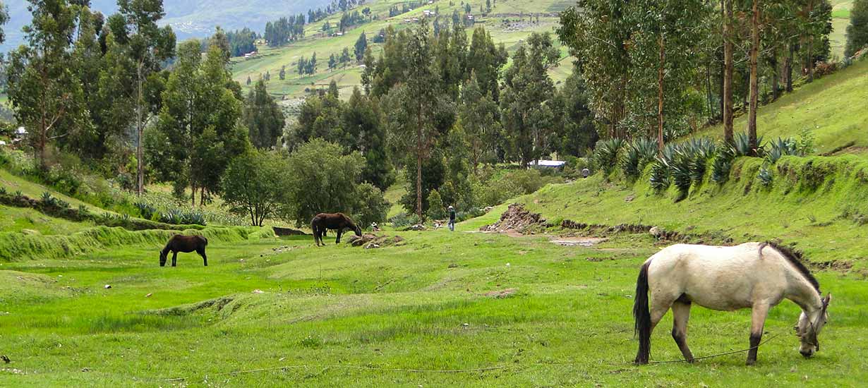 4 películas nacionales mostrando las mejores locaciones del Perú